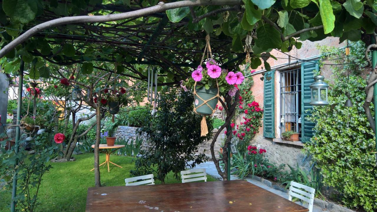 B&B "A Casa Di Camilla" Carate Urio Exteriör bild