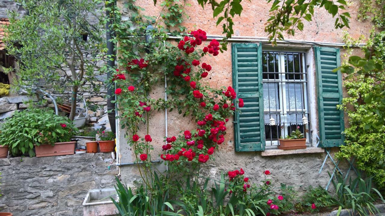 B&B "A Casa Di Camilla" Carate Urio Exteriör bild